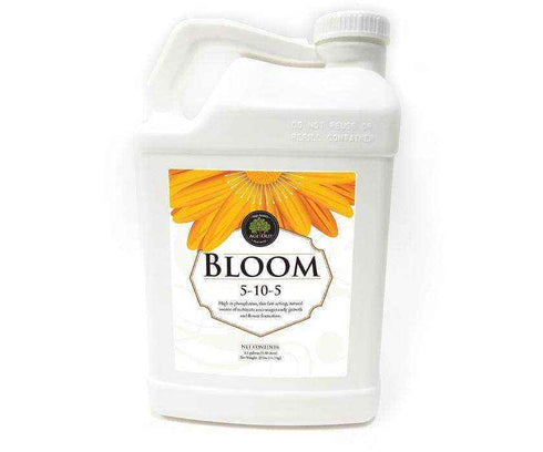 Age Old - Bloom