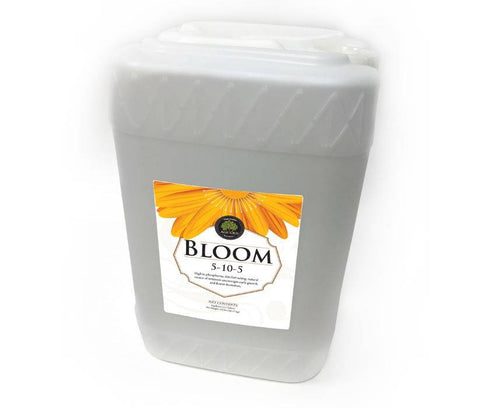 Age Old - Bloom