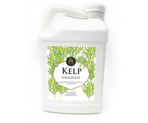 Age Old - Kelp