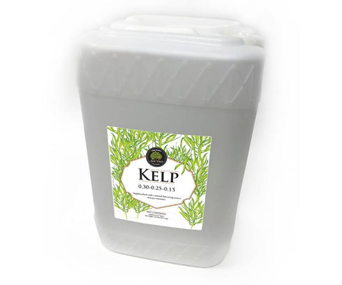 Age Old - Kelp