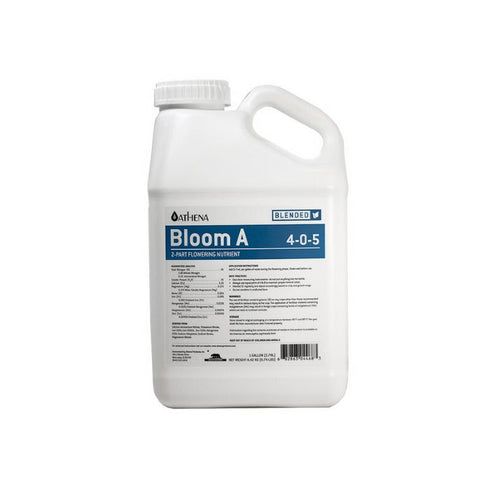 Athena - Bloom A