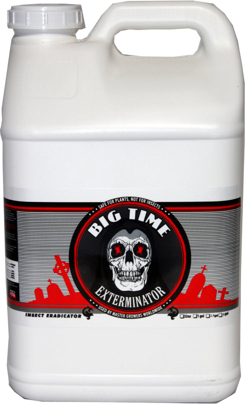 Big Time - Exterminator