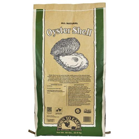 Down To Earth - Oyster Shell