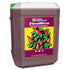 GH - Flora Micro