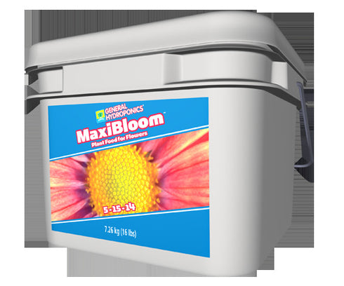 GH - MaxiBloom
