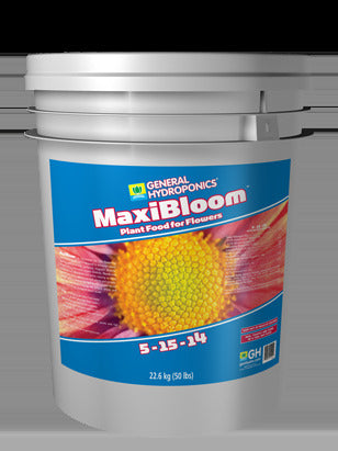GH - MaxiBloom