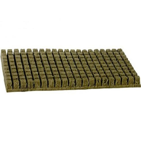Grodan - A-OK 1"x1" Starter Plugs