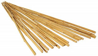 Grow!t - Bamboo Stakes 6ft