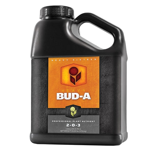 Heavy 16 - Bud A