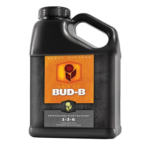 Heavy 16 - Bud B