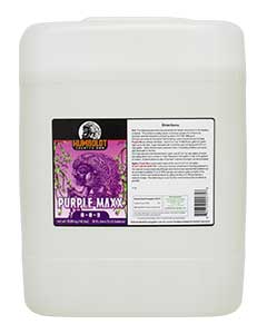 Humboldt County Own - Purple Maxx