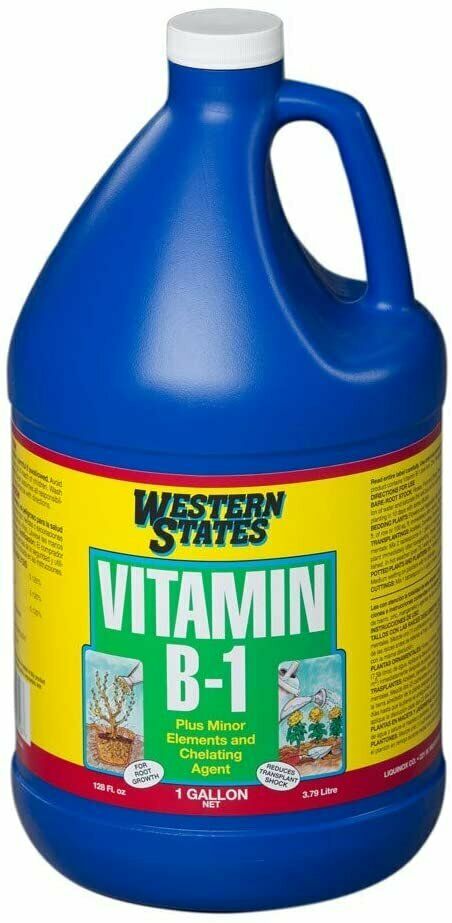 Liquinox - Start Vitamin B-1
