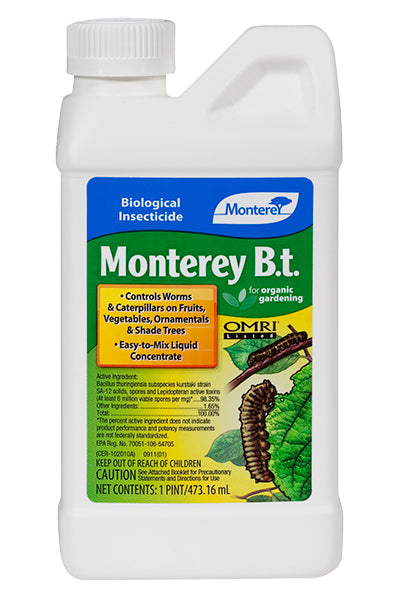 Monterey - B.t.