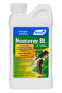Monterey - B.t.