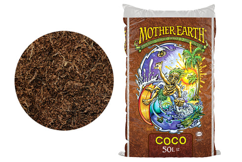 Mother Earth - Coco