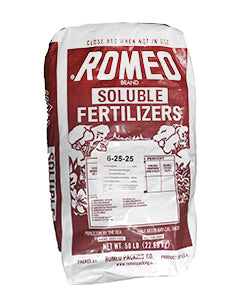 Romeo - 6-25-25