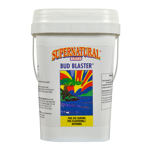 Supernatural - Bud Blaster