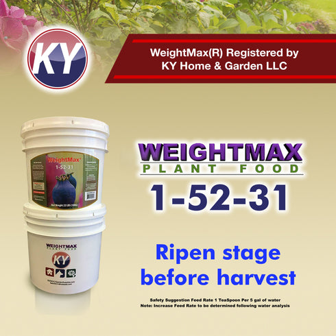 Weight Max - Ripen 1-52-31